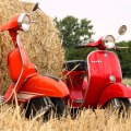 Sven Mader - Klassische Vespa Roller