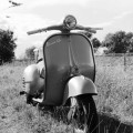 Sven Mader - Klassische Vespa Roller